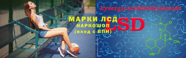 индика Армянск