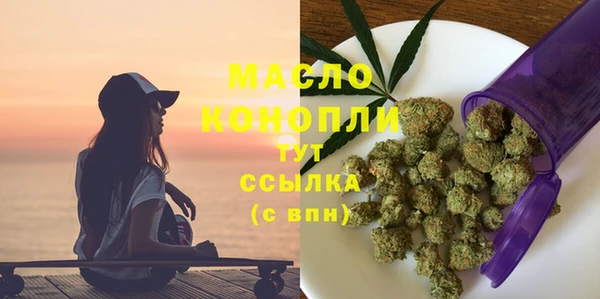 крисы Сатка