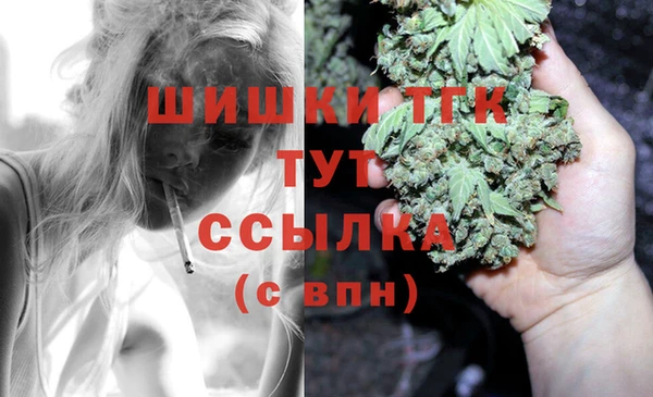герыч Арсеньев