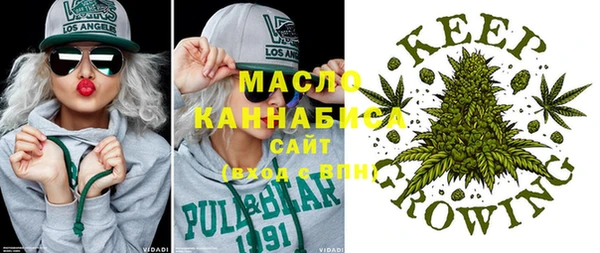 индика Армянск
