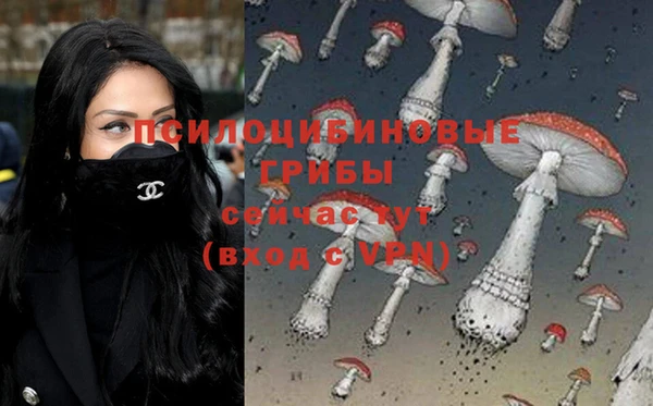 герыч Арсеньев