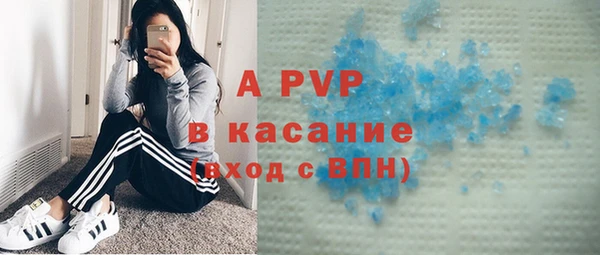 индика Армянск