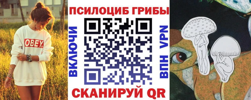 Галлюциногенные грибы прущие грибы мориарти наркотические препараты OMG маркетплейс Армянск дарнет шоп
